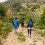 Follow the riverside hiking tour (Private experience) - The Itinerary: What to Expect