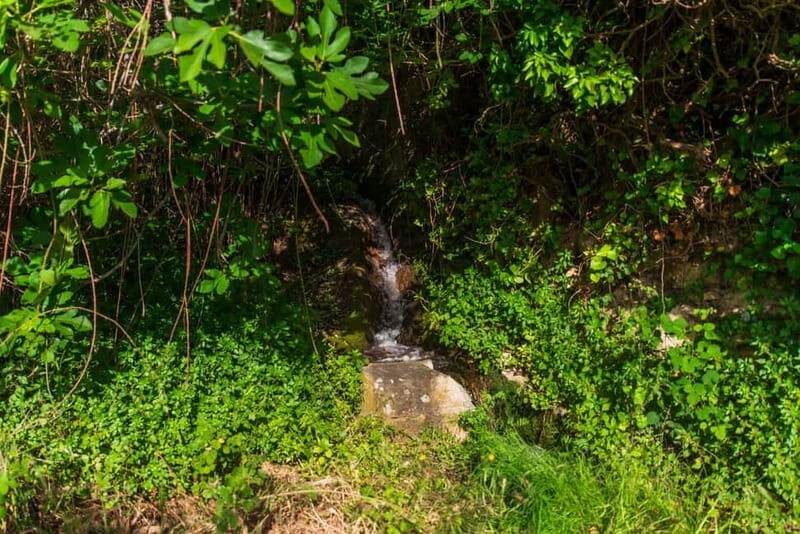Follow the riverside hiking tour (Small group experience) - Is This Tour Worth It? Our Verdict