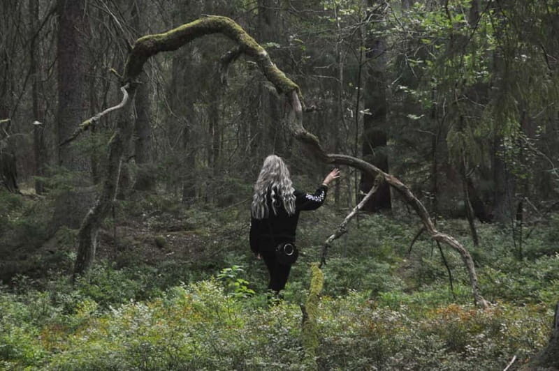 Forest Bathing in Stockholm nature with certified guide - What is Forest Bathing in Stockholm?