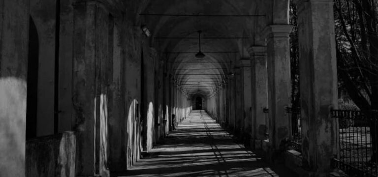 Forgotten Souls: The Collegno Asylum and Its Secrets - What to Expect During the Tour