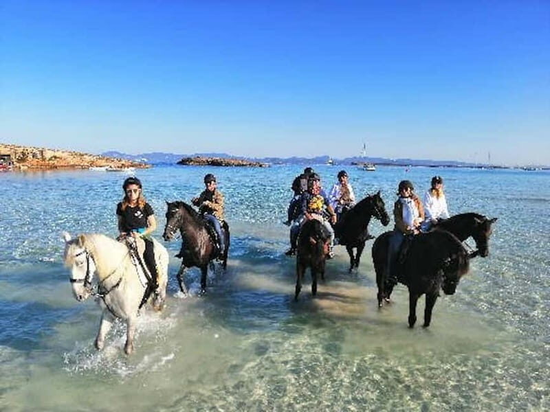Formentera: Private Horseback Ride with Pick-up on Beach - What Sets This Tour Apart