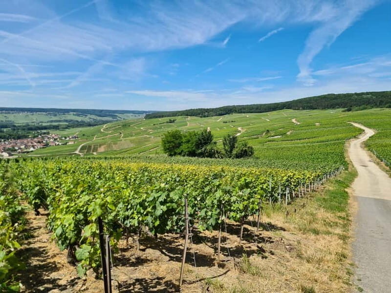 France: Private Wine Tasting Tour with Chauffeur from Paris - What Sets This Tour Apart