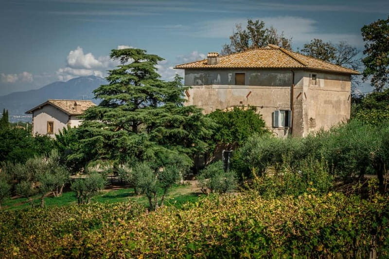 Frascati: Half Day Wine Tour - What Makes This Tour Stand Out?