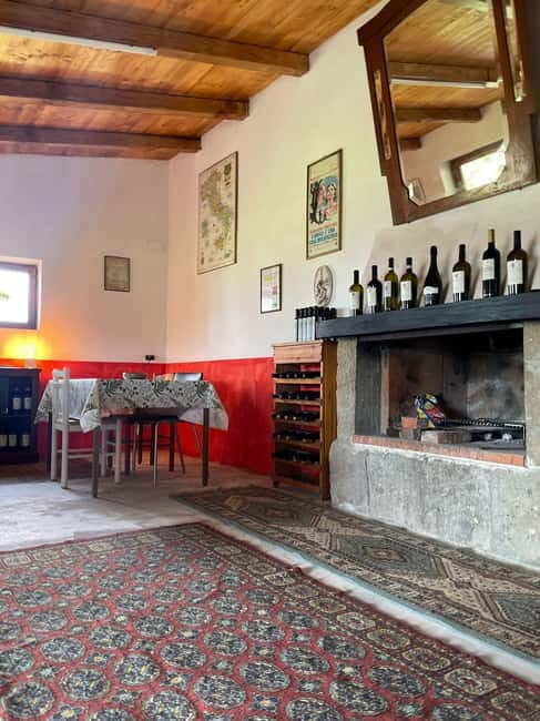Frascati: Vineyard Wine Tasting Tour with Snacks - The Walking Tour of the Vineyard