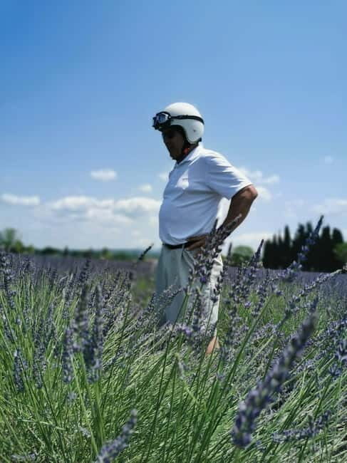 From Aix-en-Provence : Lavender & Wine Sidecar Tour - A Closer Look at the Experience: What to Expect