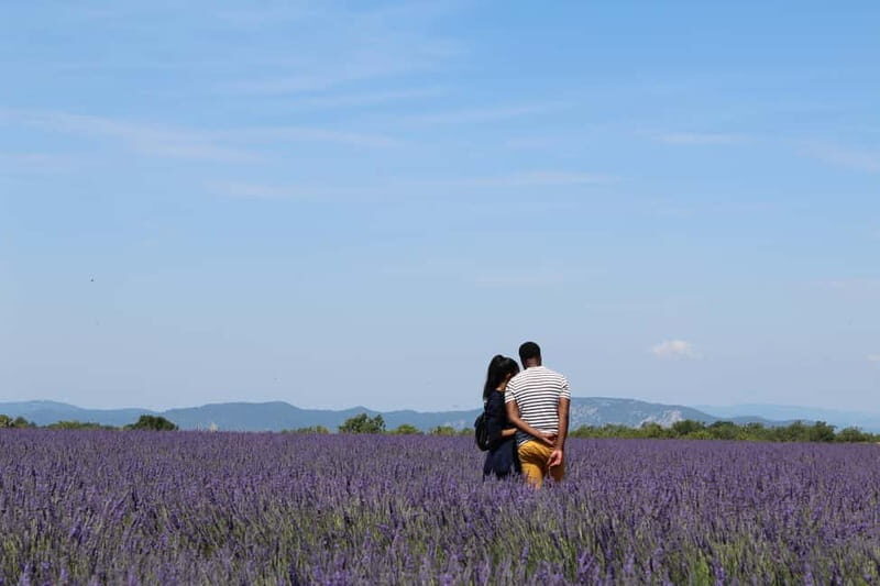 From Aix-en-Provence : Sunset Lavender Tour in Valensole - The Practical Details