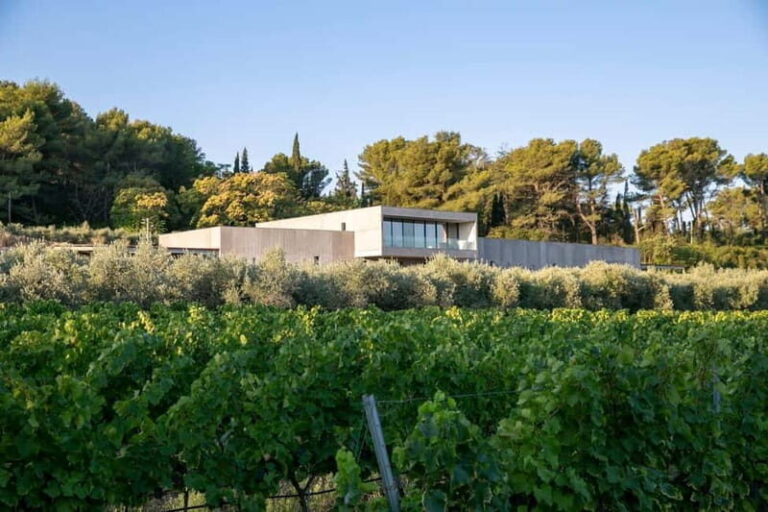 From Aix-en-Provence : Wine, Olive Oil and Scenic Villages - The Practical Details