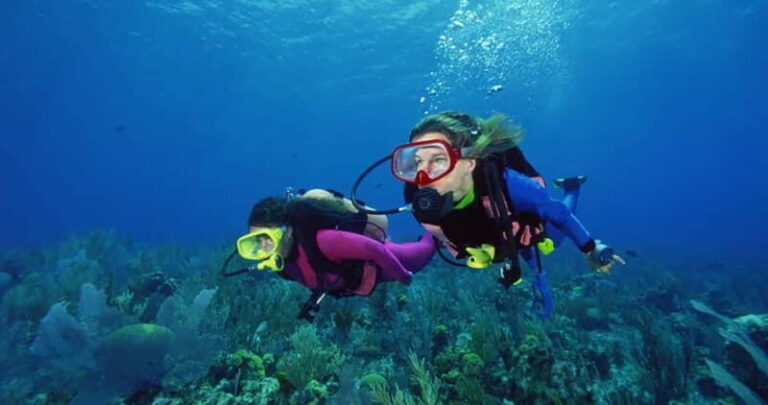 From Alanya: Scuba Diving Tour with Hotel Transfers - Practical Details and What to Expect