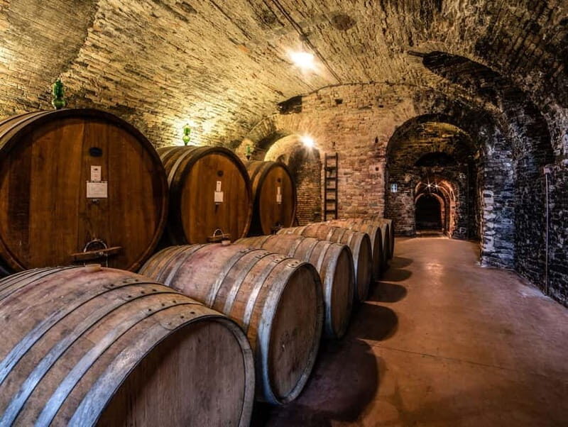 From Alba: Barolo & Barbaresco Wine Tasting Tour - The Experience: What Sets This Tour Apart