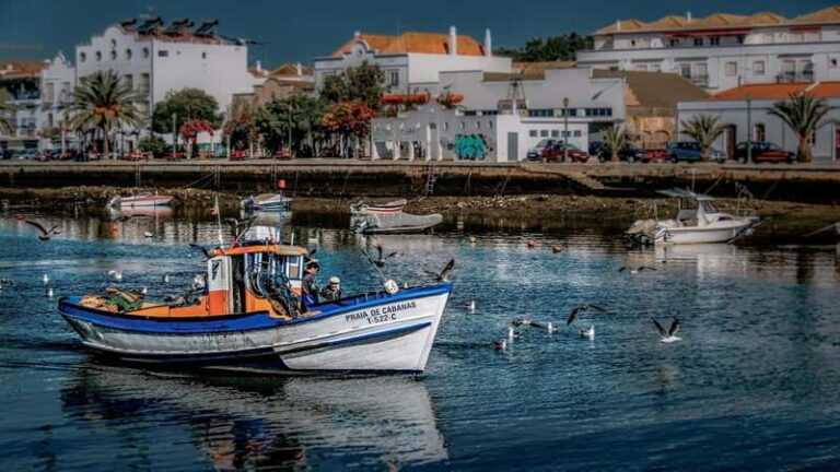 From Albufeira: Loule, Faro, and Tavira Guided Day Trip - Tavira: A Peaceful Coastal Escape