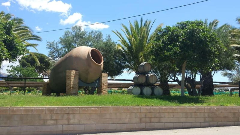 From Alicante and Elche: Guided tour for vineyard and winery with tasting - The Location and Setting