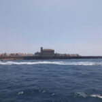 From Alicante and Torrevieja: Excursion to Tabarca, Santa Pola and Laguna Rosa - A Closer Look at the Tour Experience