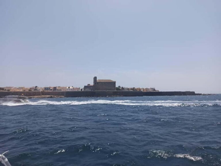 From Alicante and Torrevieja: Excursion to Tabarca, Santa Pola and Laguna Rosa - A Closer Look at the Tour Experience