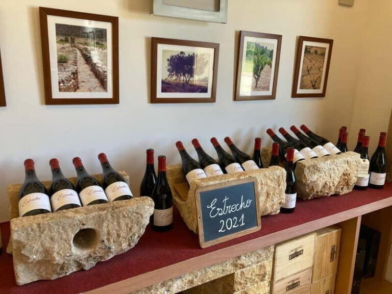 From Alicante, Benidorm-Best winery tour with tasting - An In-Depth Look at the Winery Tour Experience