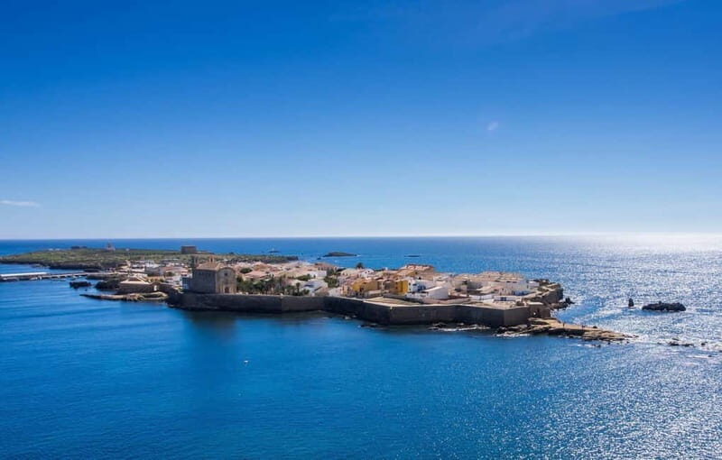 From Alicante/Benidorm: Tabarca Island & Santa Pola Salinas - Practical Details and Tips
