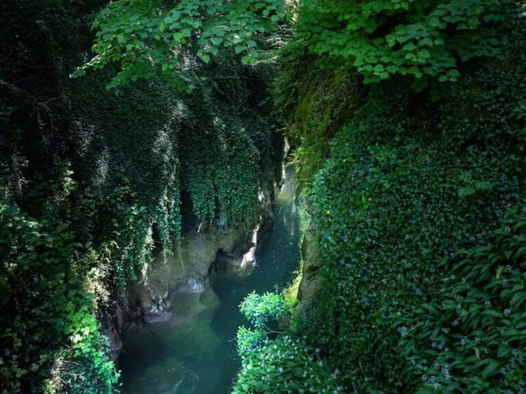 From Annecy: Sierroz Gorges, Lake Bourget, and Mont Revard - Realistic Expectations and Practical Tips