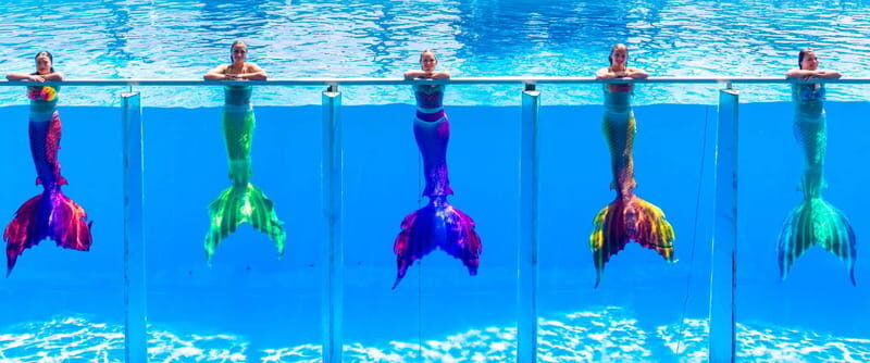 From Antalya/Kemer: Dolusu Park (Medium Package) - What Is Dolusu Park?