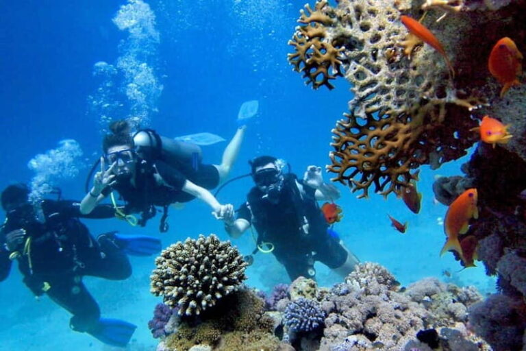 From Antalya: Scuba Diving With Lunch and Transfer - What Makes This Tour a Great Choice?