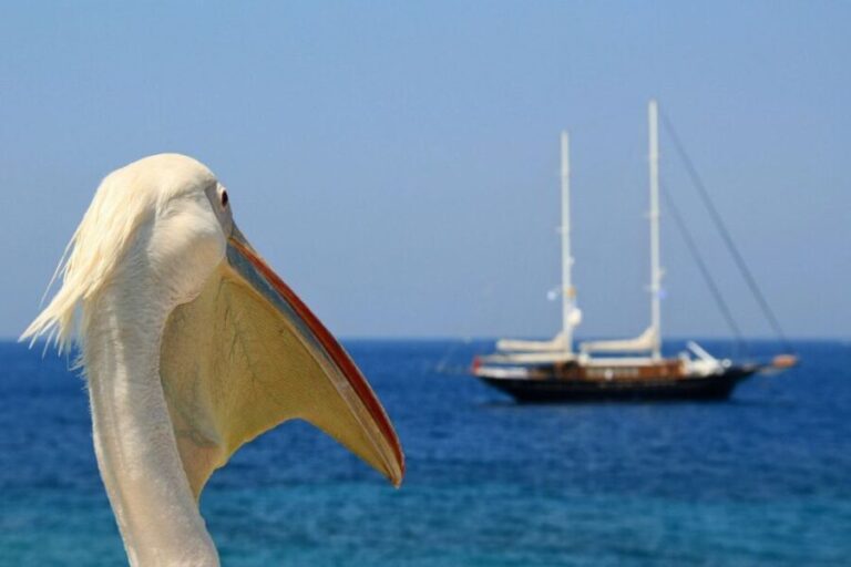 From Athens: 2-Day Santorini and Mykonos Trip - A Closer Look at the Itinerary and What It Means for You