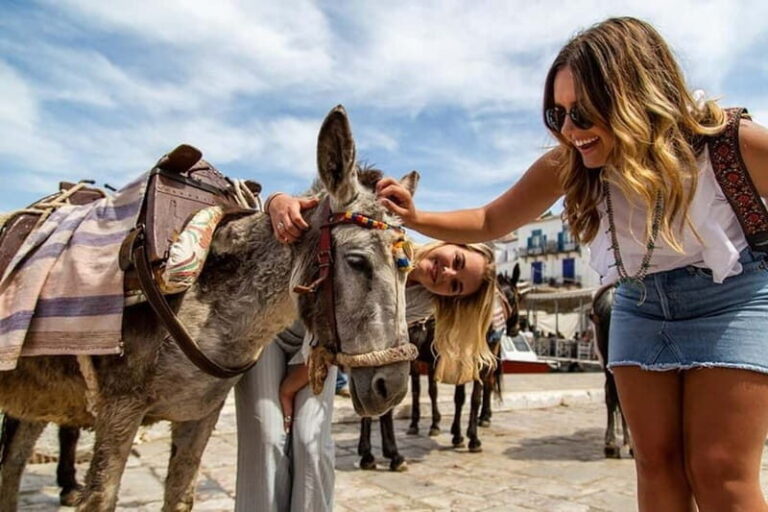 From Athens: Hydra, Poros & Aegina Island Cruise with Lunch - Hydra: A Car-Free Treasure
