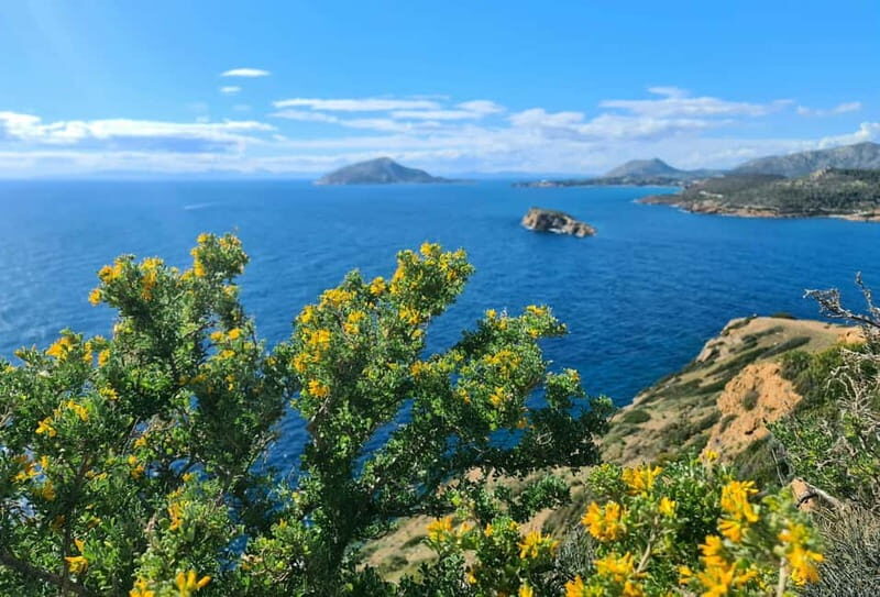 From Athens: Temple of Poseidon & Cape Sounion Half-Day Tour - A Closer Look at the Itinerary and Experience