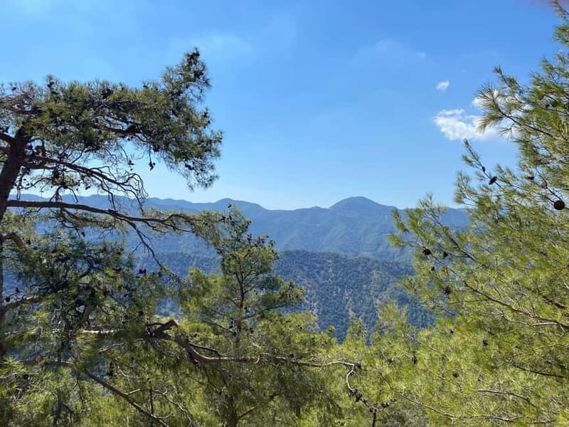 From Ayia Napa, Limassol: Troodos Mountains Private Day Trip - What Makes This Tour Stand Out?