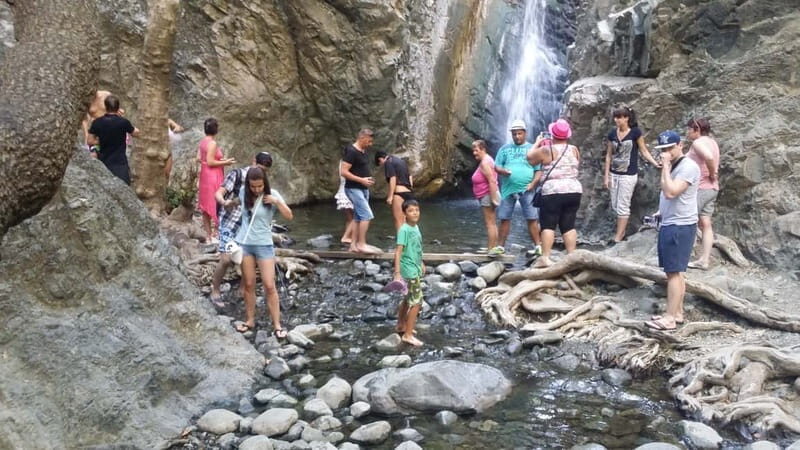From Ayia Napa: Troodos Classic Jeep Safari - A Detailed Look at the Troodos Jeep Safari Experience