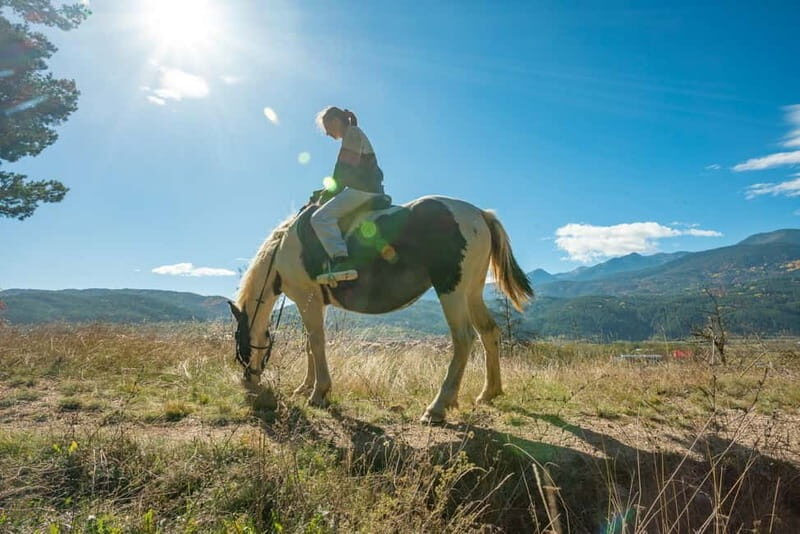 From Bansko: Horse Riding Experience - Who Will Love This Tour?