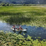 From Bar: Skadar Lake Land and Boat Tour - Why This Tour Offers Great Value