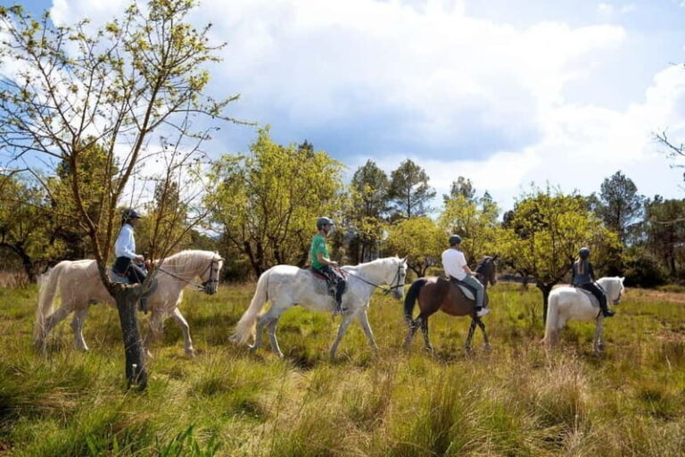 From Barcelona: Montserrat Walking and Horseback Riding Tour - The Horseback Ride: Views and Adventure
