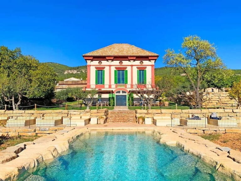 From Barcelona Premium Wine Tasting at Boutique Winery +Food - What Makes This Tour Stand Out?