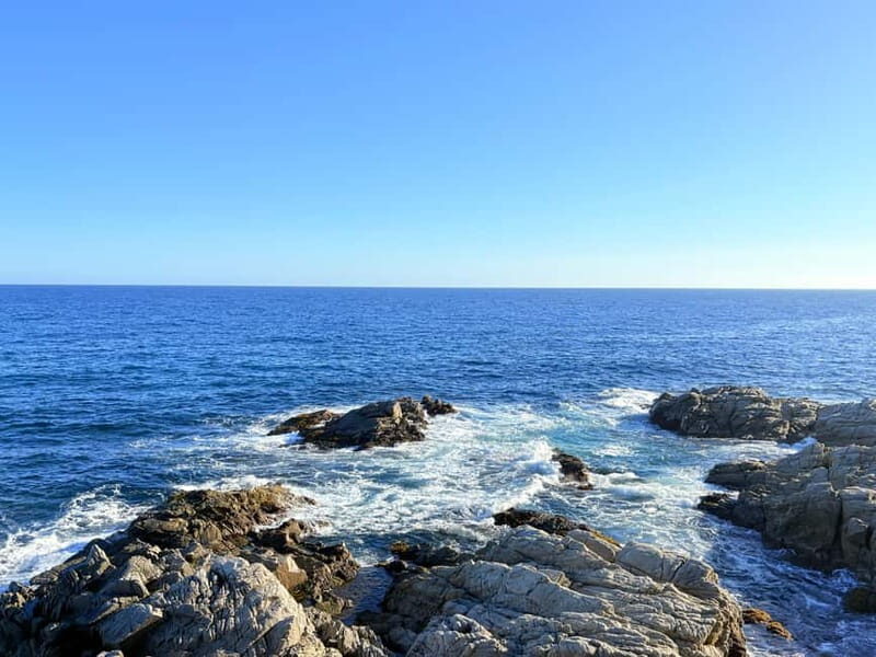 From Barcelona: Private Costa Brava Guided Tour - A Deep Dive into the Costa Brava Experience