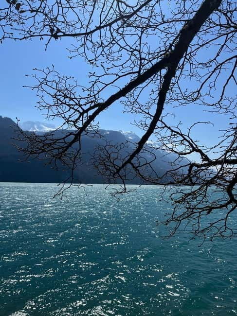 From Basel: Alps, Waterfalls and Lakes Private Tour - Key Points