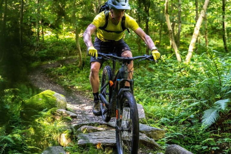 From Belfast: Mountain Bike Experience - Who Will Love This Experience?