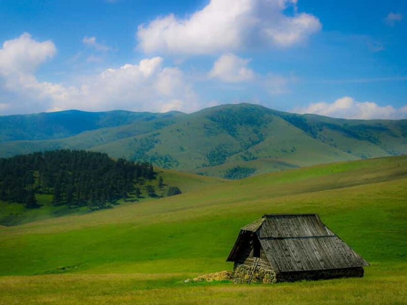 From Belgrade: Full-Day Guided Tour of Zlatibor Mountain - The Journey Begins: What to Expect on the Tour