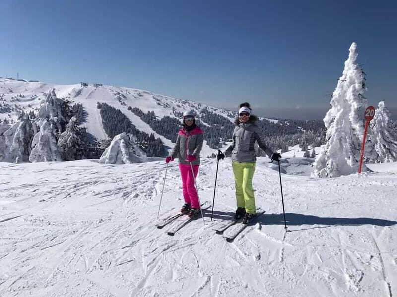 From Belgrade: Kopaonik national park & Ski resort-full day - What to Expect & Practical Insights