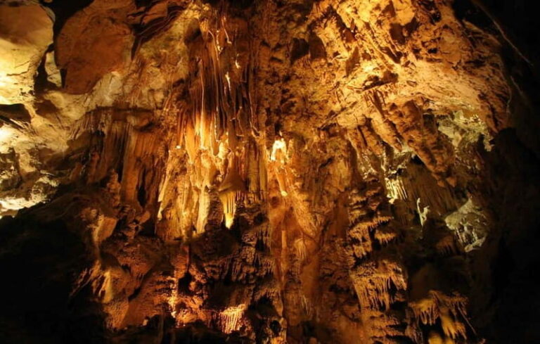 From Belgrade: Manasija Monastery and Resava Cave Tour - The Practicalities: What to Expect