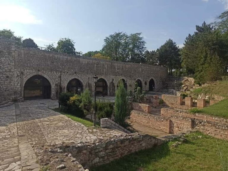 From Belgrade: Nis city full day tour - Practical Details