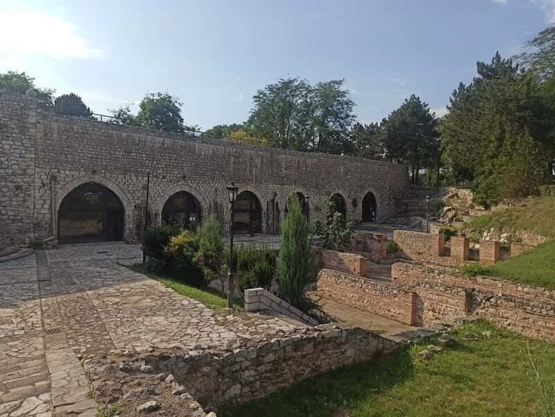 From Belgrade: Nis city full day tour - Practical Details