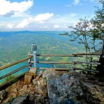From Belgrade: Tara National Park & Drina River Valley Tour - An In-Depth Look at the Experience