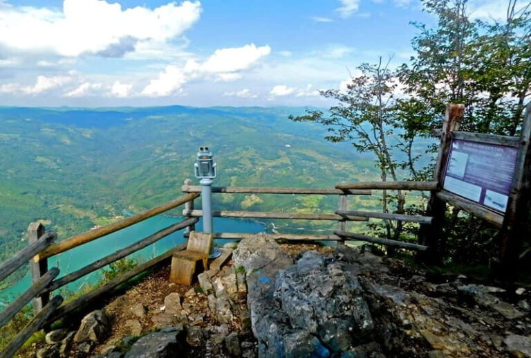 From Belgrade: Tara National Park & Drina River Valley Tour - An In-Depth Look at the Experience