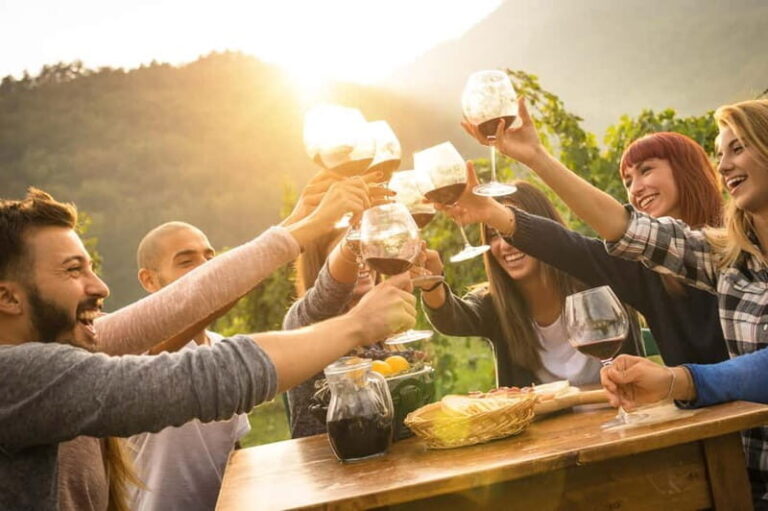 From Belgrade: umadija Wine Country Day Tour - The Experience in Detail: Why It’s Worth It
