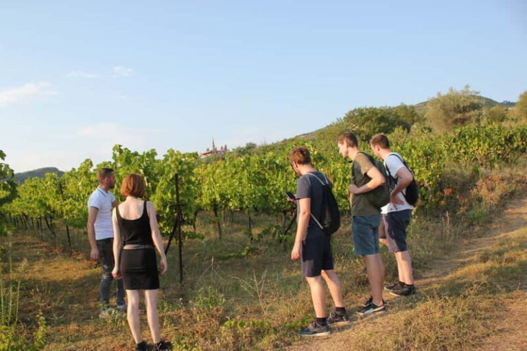 From Berat: Guided Winery Tour with Transfers and Tastings - How the Tour Fits Into Your Travel Plan