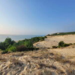 From Biarritz: Dune du Pilat and Arcachon Bay - 100% Private - Exploring the Destinations: What to Expect