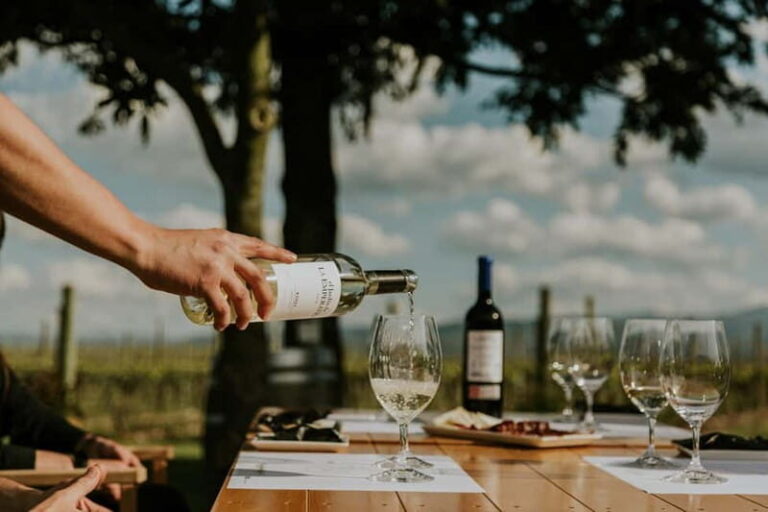 From Bilbao: La Rioja a journey to the vineyards & tradition - First Stop: Wineries and Vineyards in Rioja Alavesa