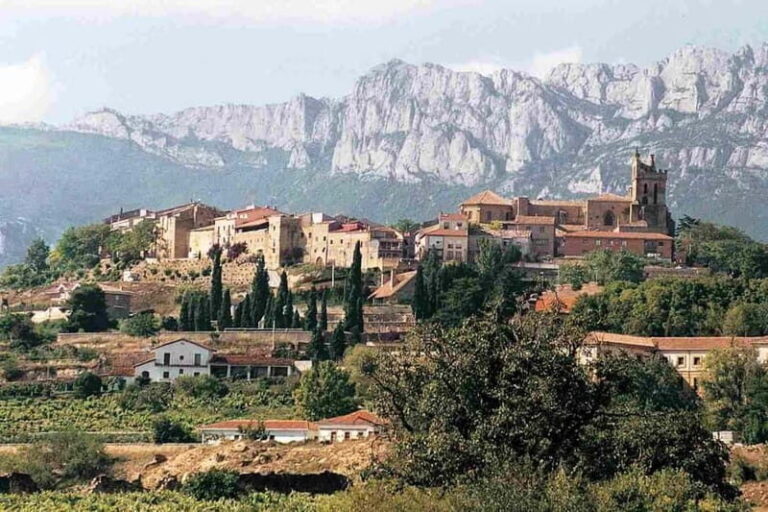 From Bilbao: La Rioja Wineries Day Trip with Wine Tastings - What’s Included and What to Keep in Mind