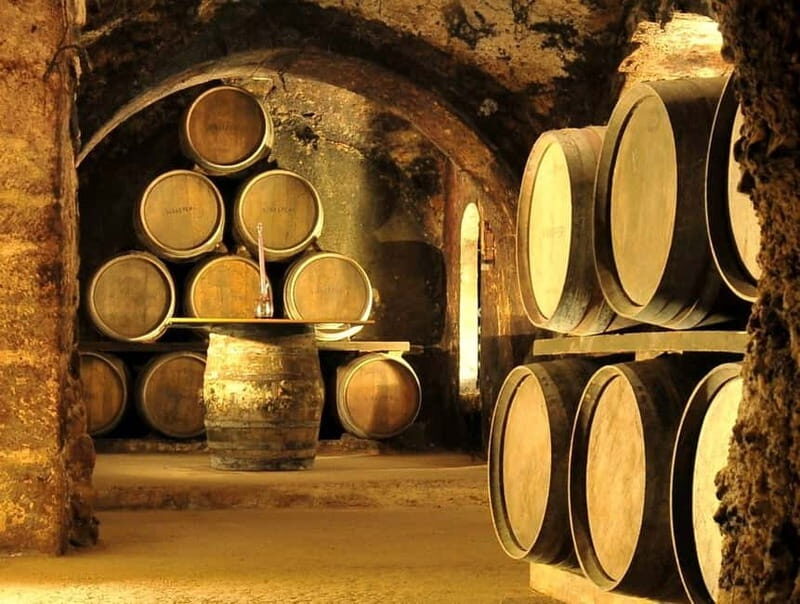 From Bilbao: Rioja Wine Region with Winery & Vitoria-Gasteiz - The Itinerary in Detail
