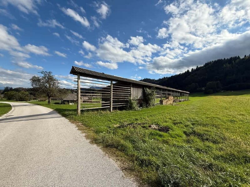 From Bled: Self Guided E-Bike Trip to Triglav National Park - Itinerary Breakdown: What to Expect