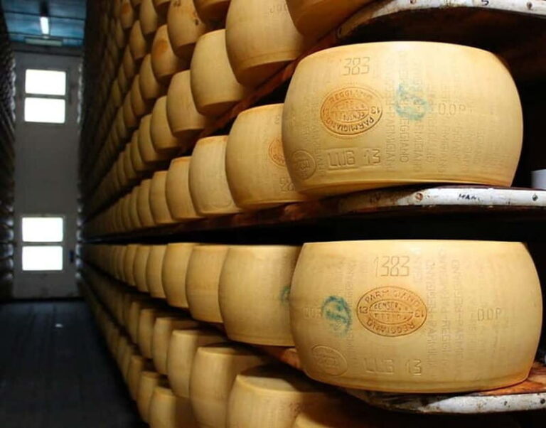 From Bologna: Parmesan, Wine, and Prosciutto Tour - Detailed Breakdown of the Itinerary