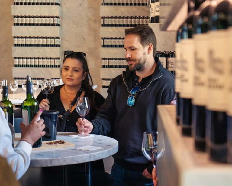 From Bordeaux: Afternoon Wine Tasting in the Medoc Region - The Itinerary in Depth